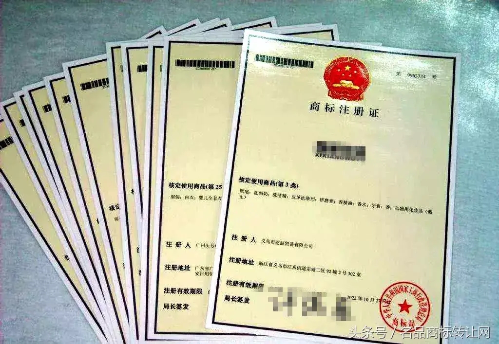 商标注册证丢了？不怕！可以这么操作…………（商标证书丢了怎么办）